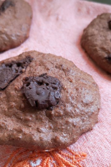 Kakaovo maslové cookies